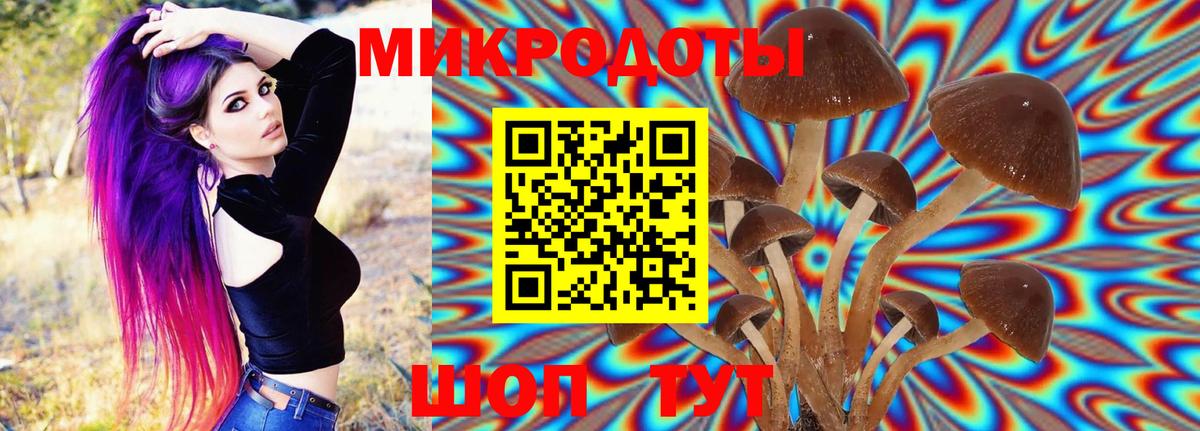 Псилоцибиновые грибы Psilocybe  Псилоцибиновые грибы Magic Shrooms  Вход с VPN  купить  цена  Полевской 